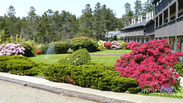 The facilities at Free by the Sea in Ocean Park, WA 4